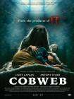 Cobweb poster