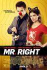 Mr. Right poster