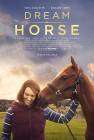 Dream Horse poster