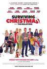 Surviving Christmas with the Relatives poster