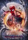 Spider-Man: No Way Home poster